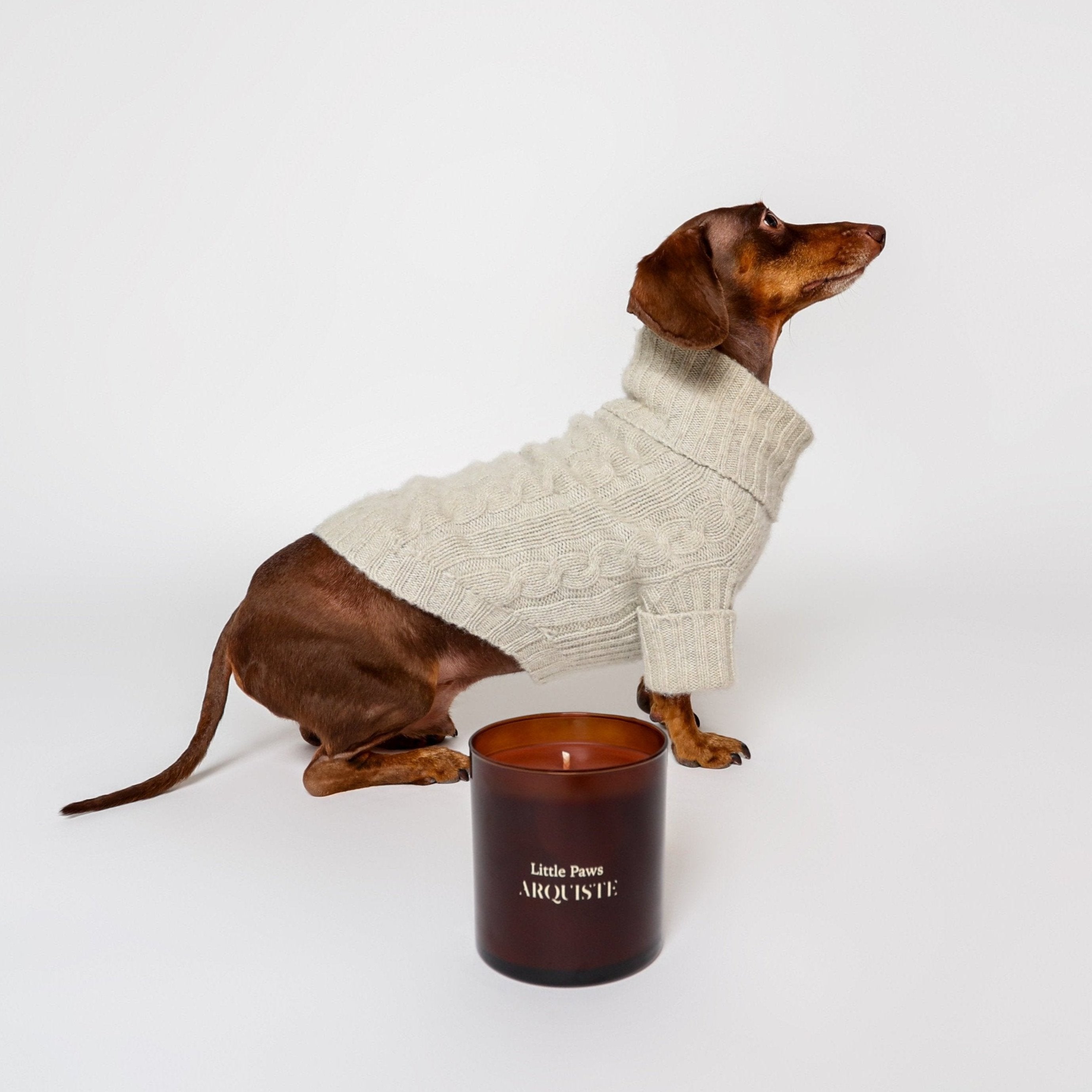 Arquiste Little Paws bougie parfumée 255g vanille