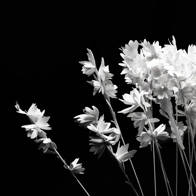 Marc-Antoine Barrois Fleur de papier Tubéreuse Mission Aldebaran – origami 20 cm