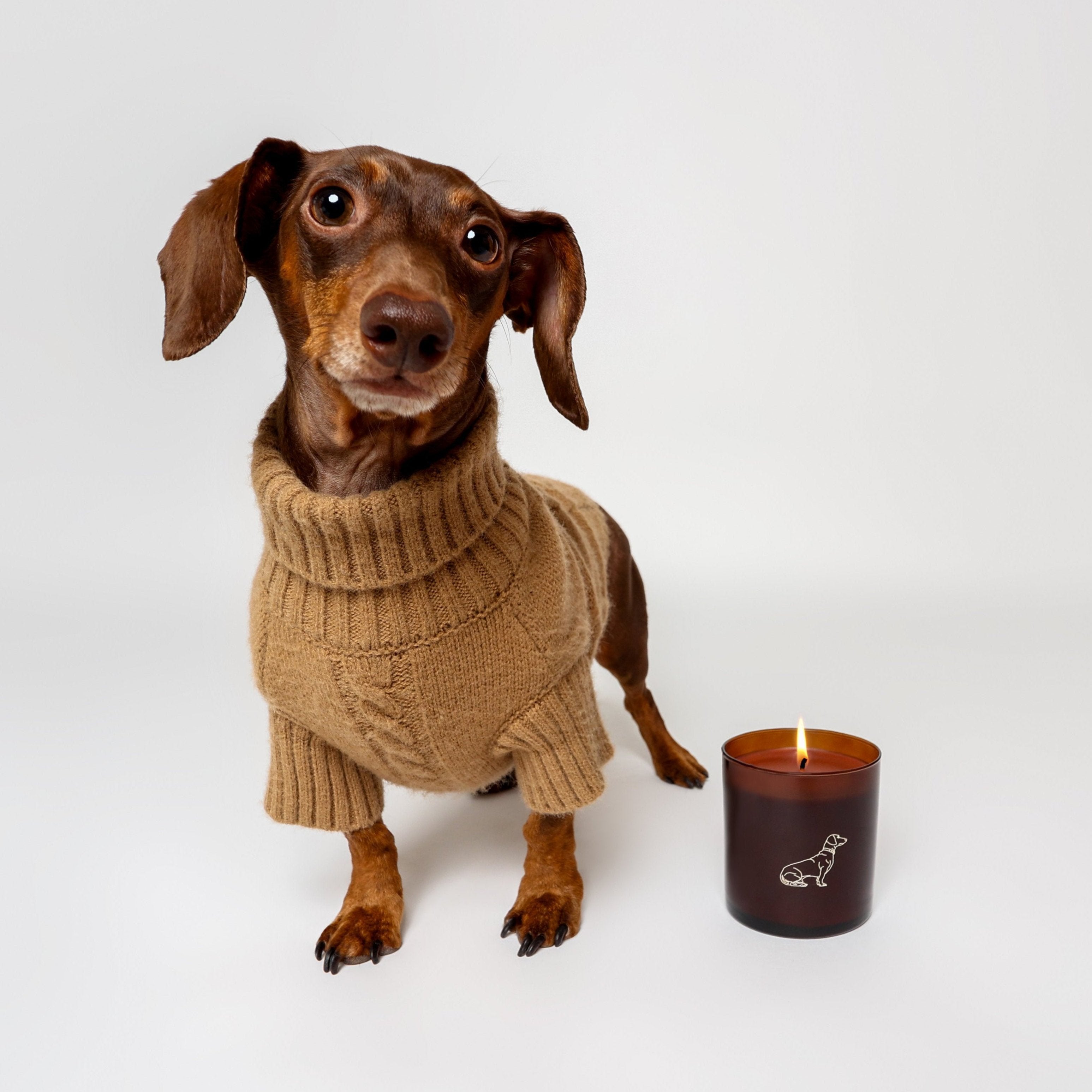 Arquiste Little Paws bougie parfumée 255g vanille