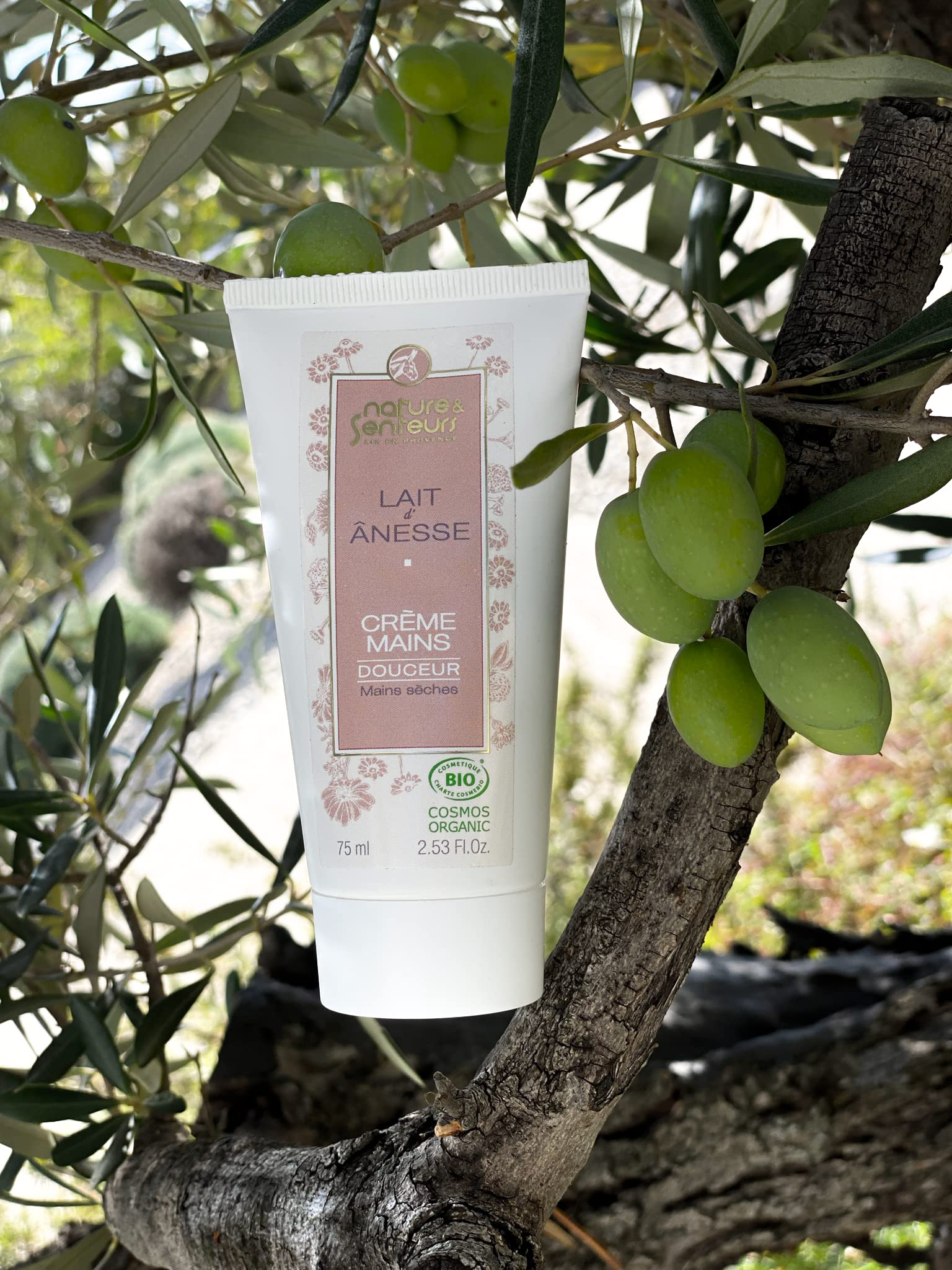 Nature et Senteurs Lait d'Ânesse Crème Mains Bio 75 ml