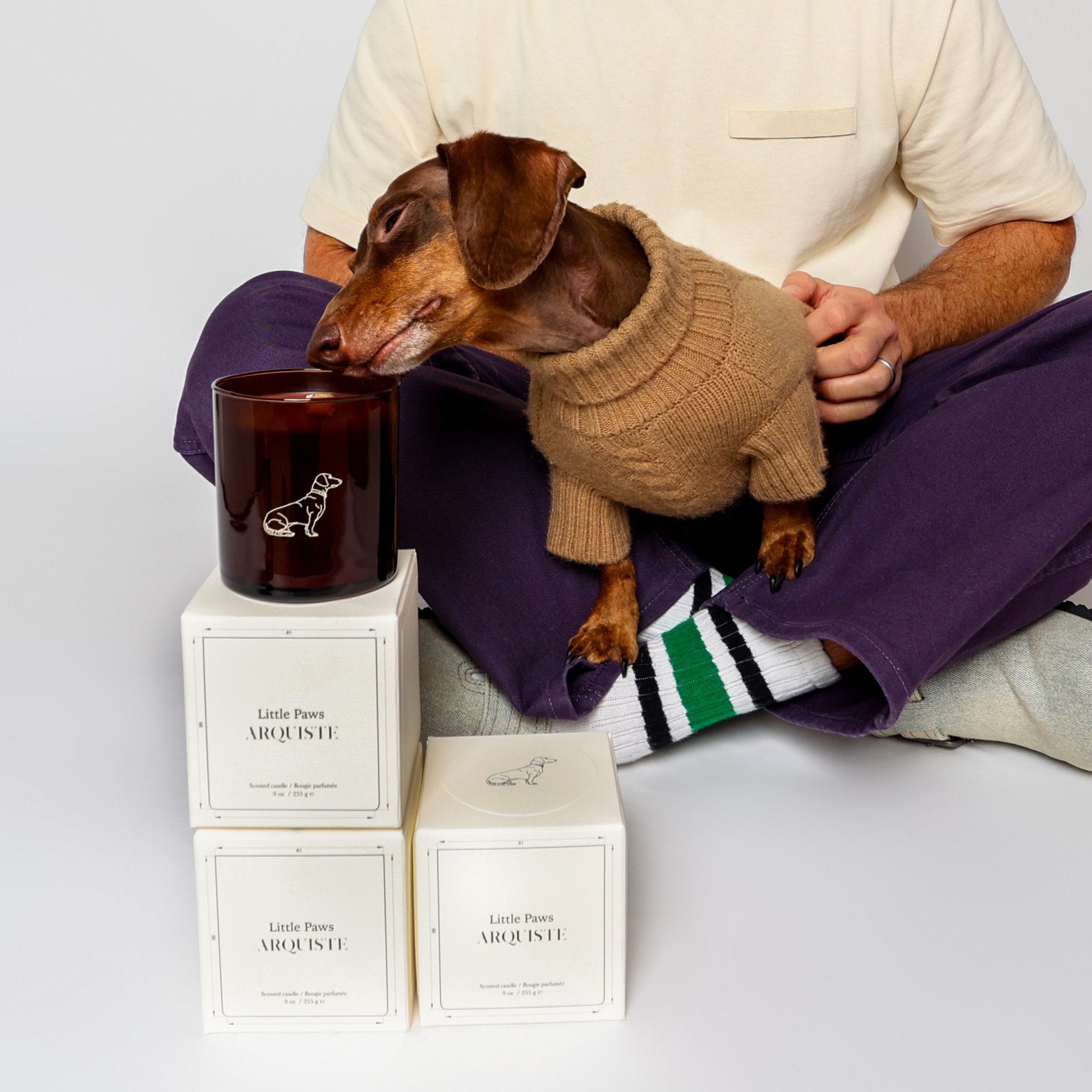 Arquiste Little Paws bougie parfumée 255g vanille