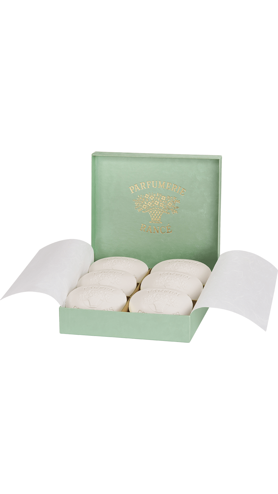 Rancé 1795 Corylopsis savon parfumé 6 x 100 g vert fougère