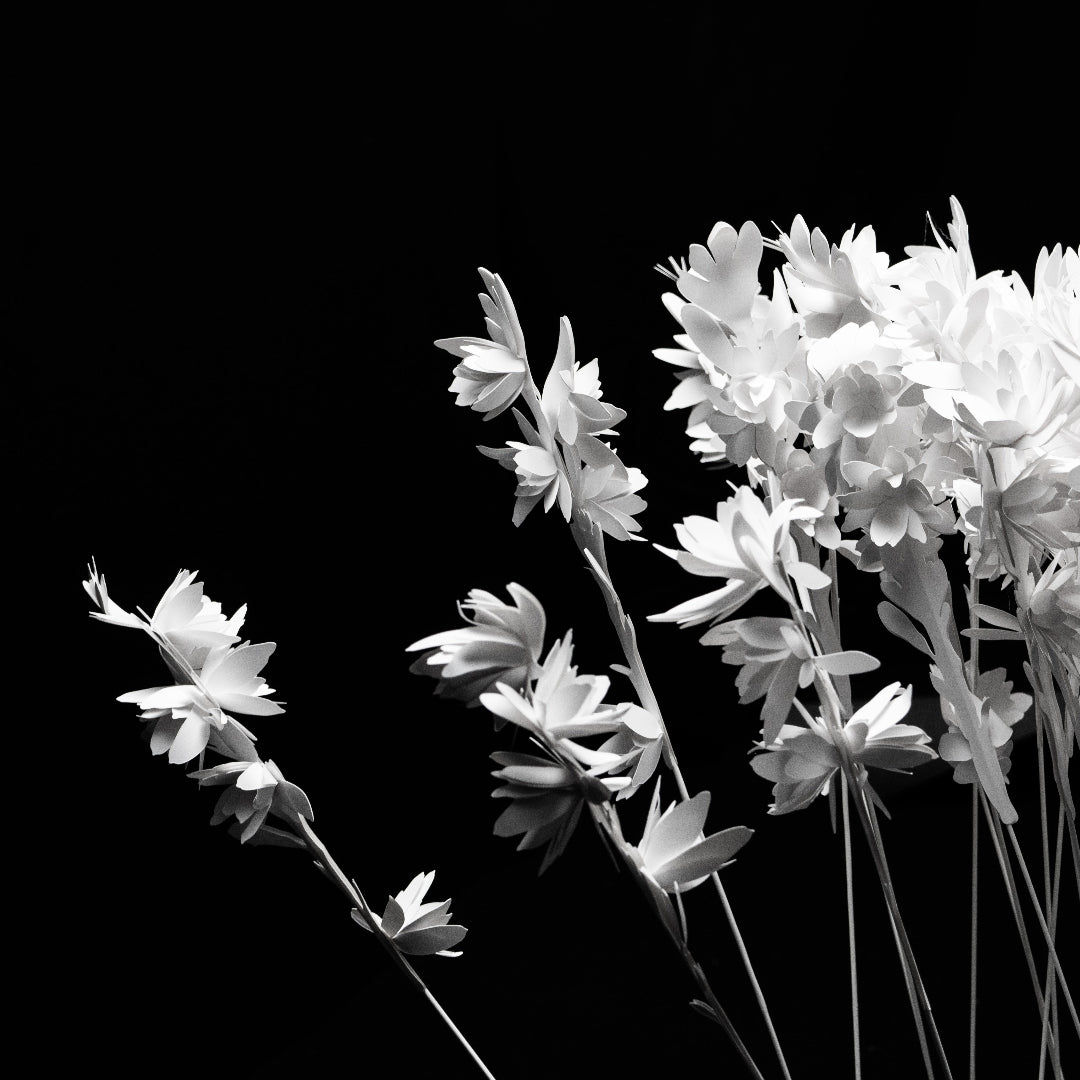 Marc-Antoine Barrois Fleur de papier Tubéreuse Mission Aldebaran – origami 20 cm