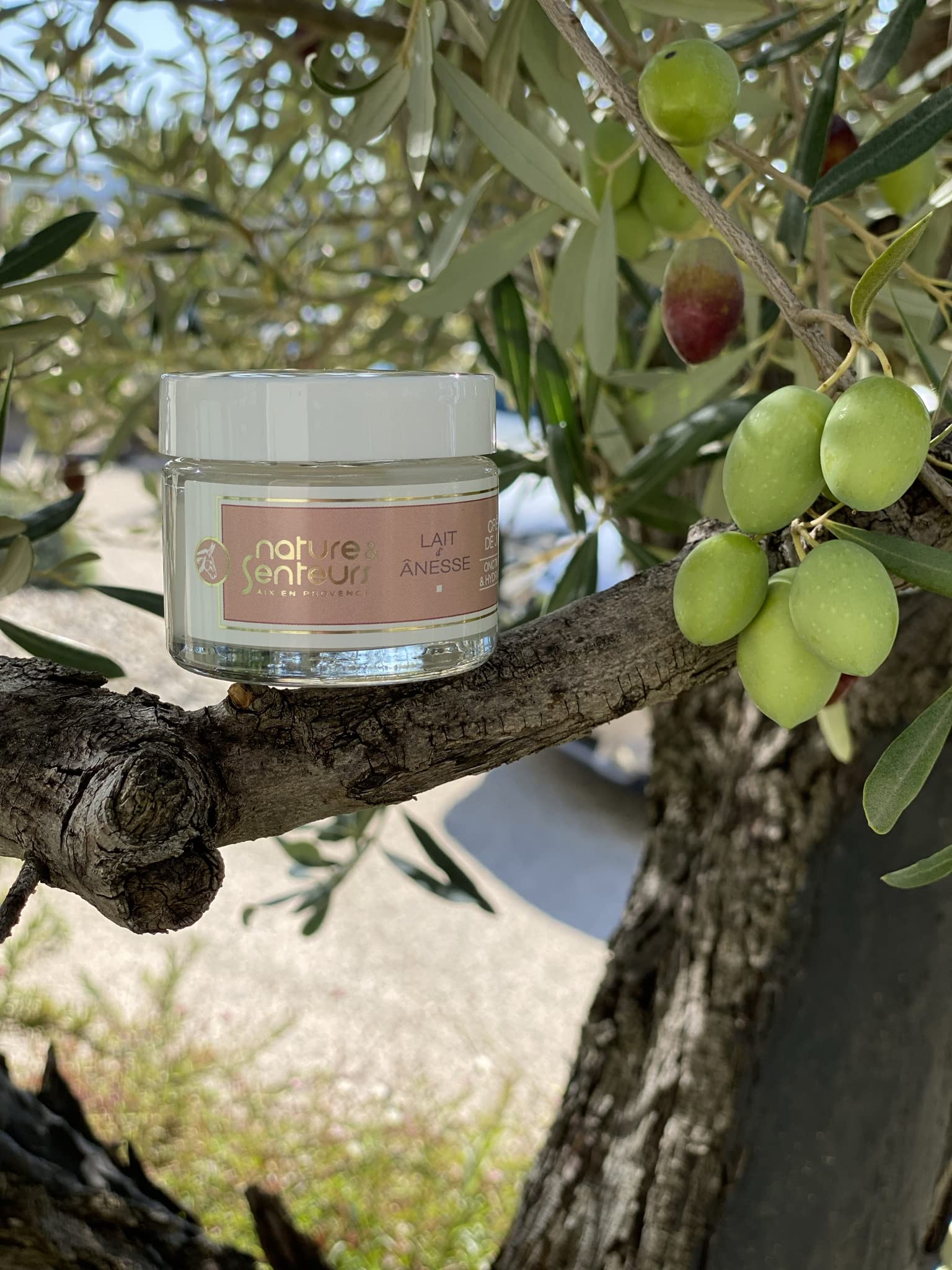 Nature et Senteurs Lait d'Ânesse Crème Jour Visage Bio 40 ml