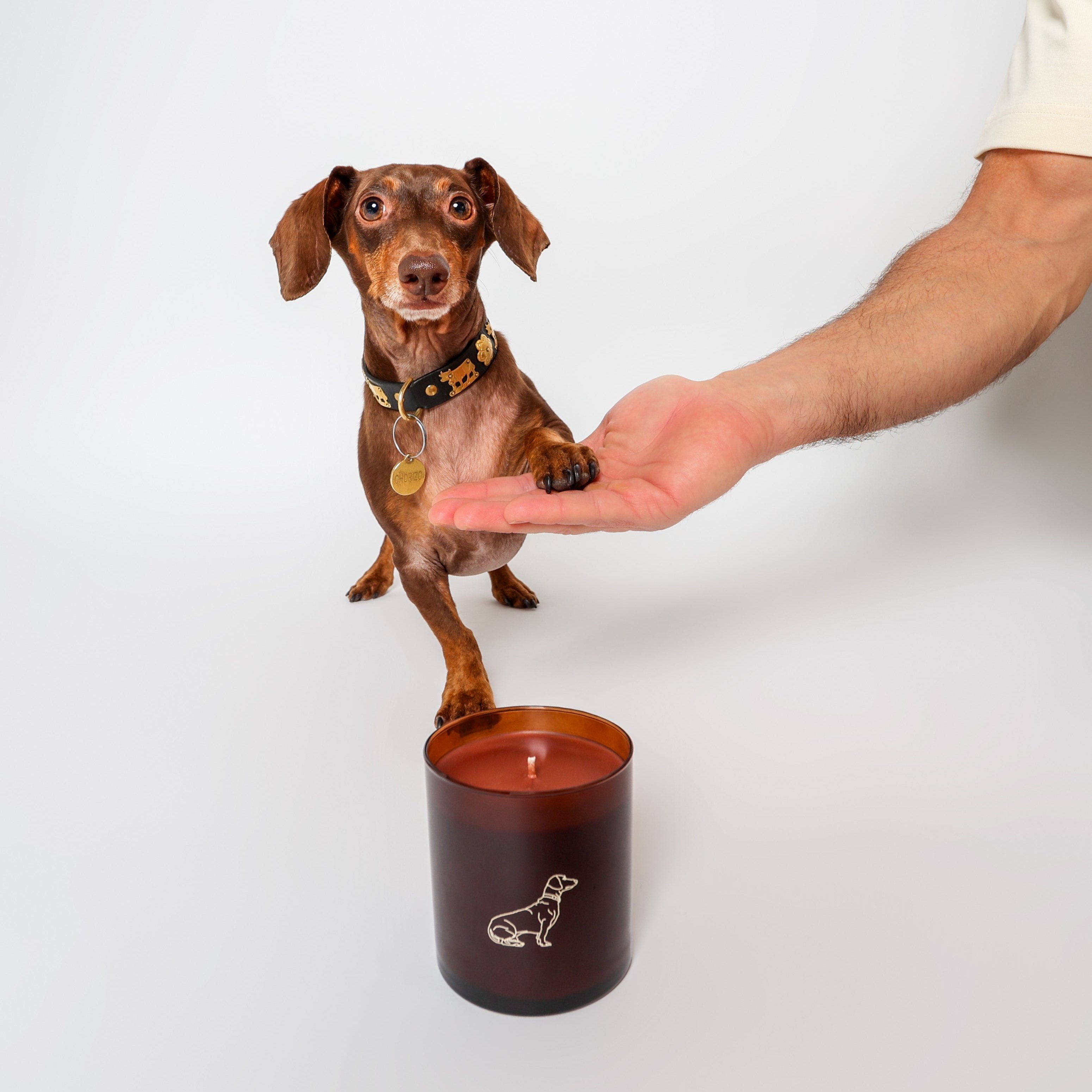Arquiste Little Paws bougie parfumée 255g vanille