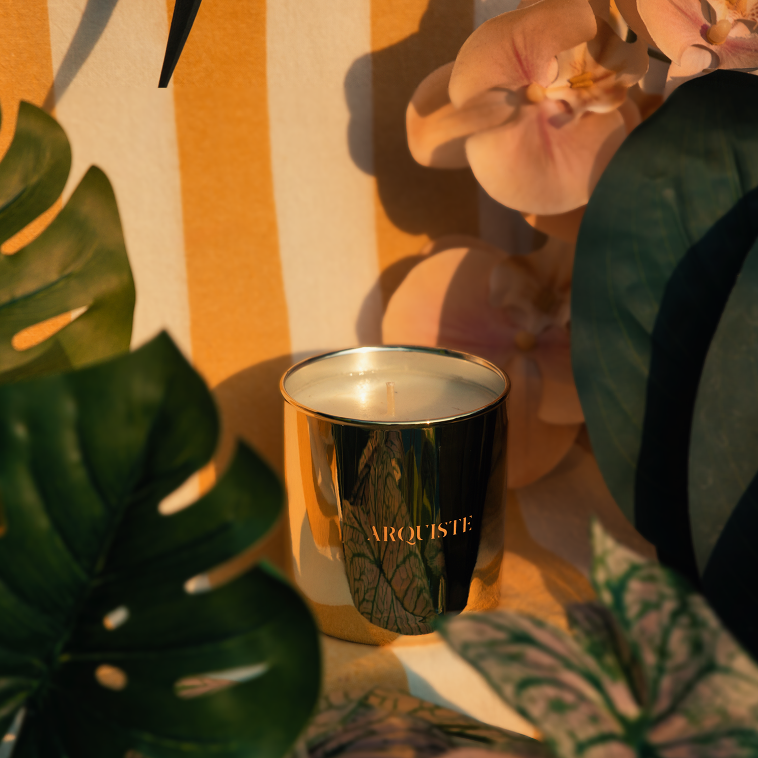 Arquiste Tropical bougie parfumée 255 g goyave vanille